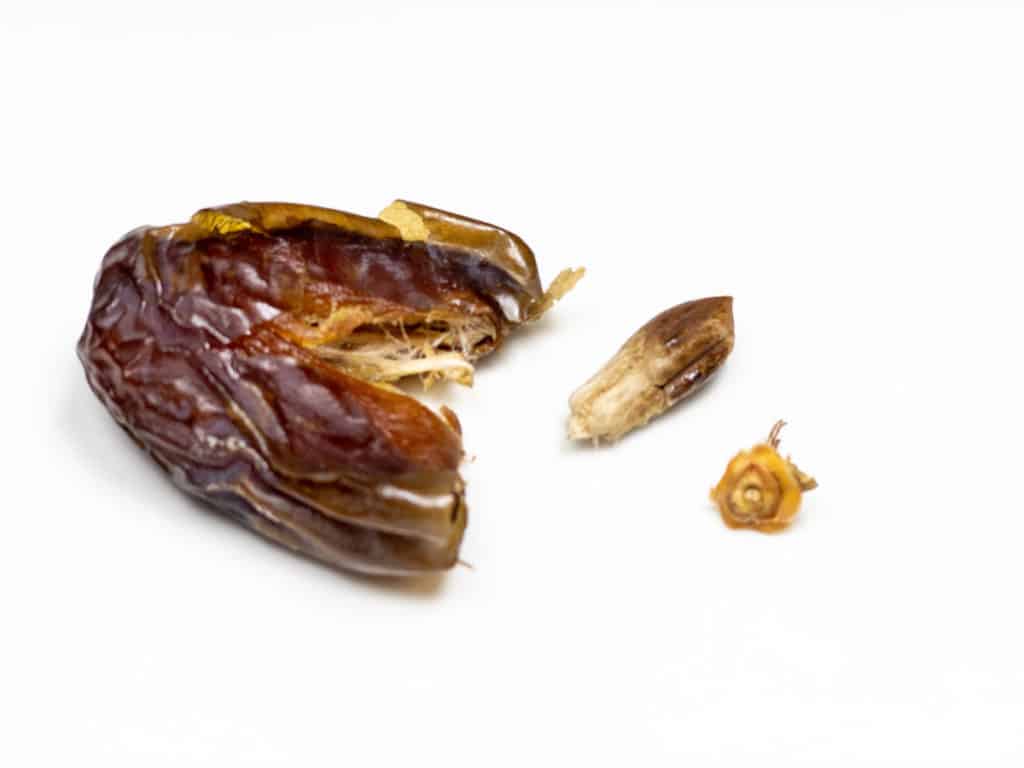 Medjool date with pit and dried flower part