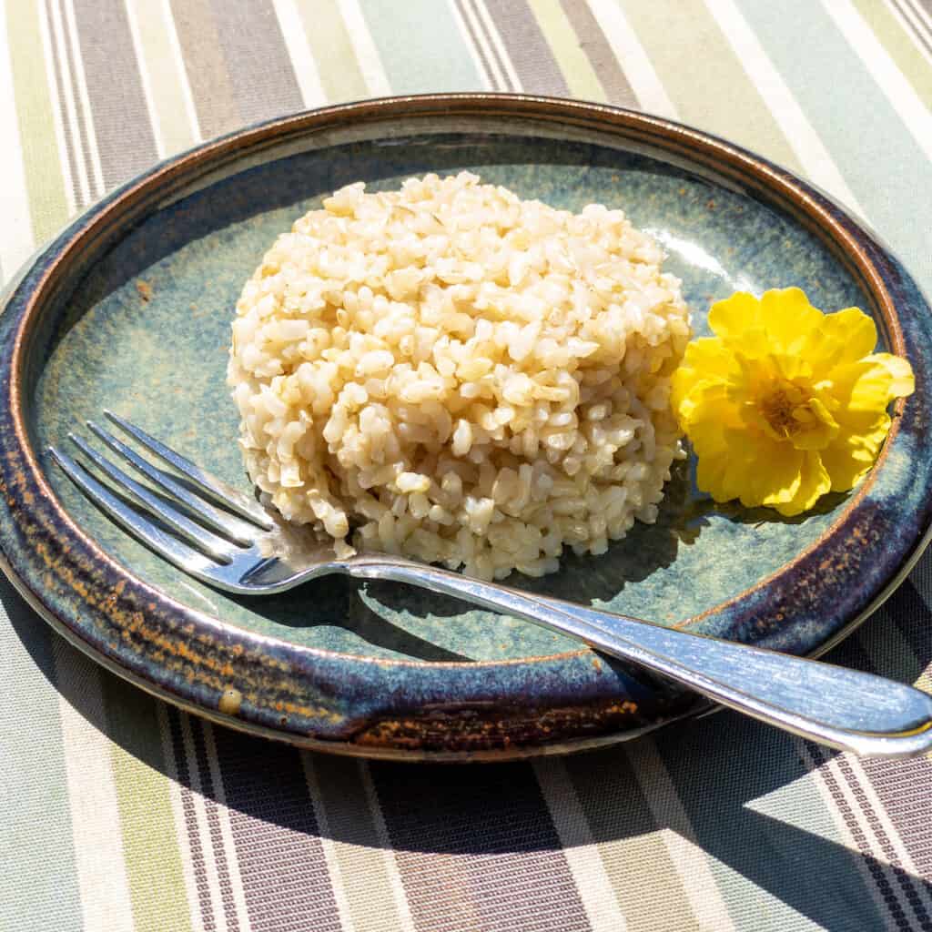 Brown Rice on blue and green plate with fork and yellow marigold flower.